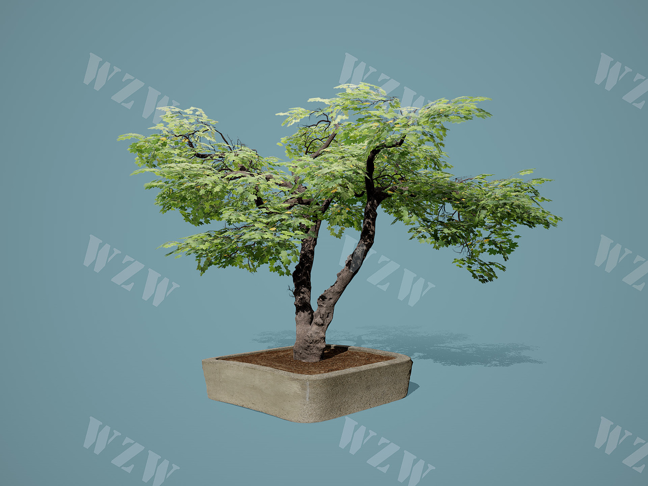 花草树木|SpeedTree|植物制作的阶段性成果展示（图ZMzYzMDEyNDY0） - 场景 - 站酷设计师旋律S原创素材 - 站酷ZCOOL