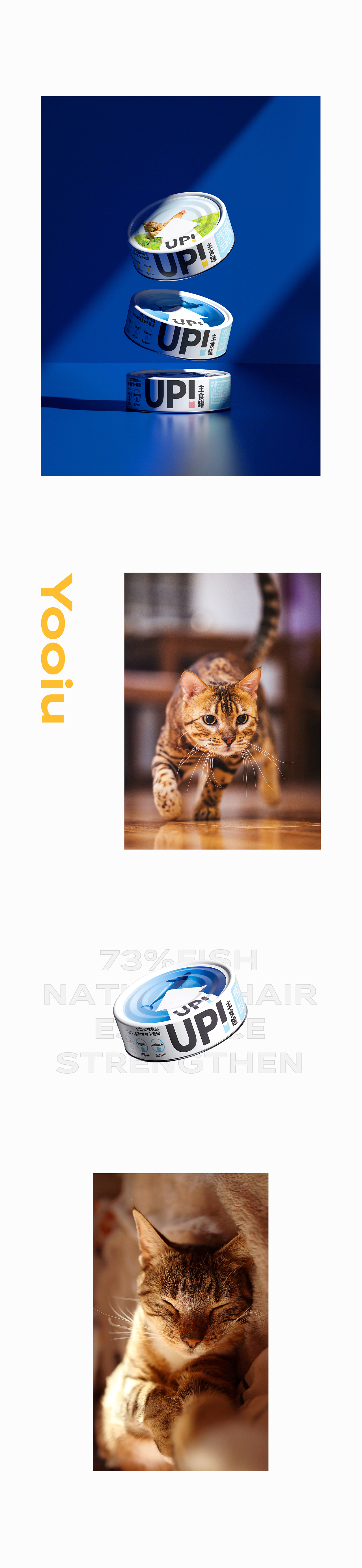 UP!主食罐 | 真鲜主食罐详情视觉分享