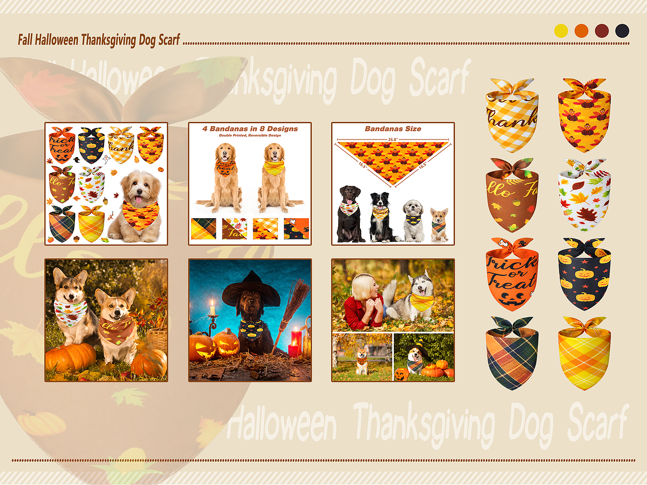 2022亚马逊图片作品集