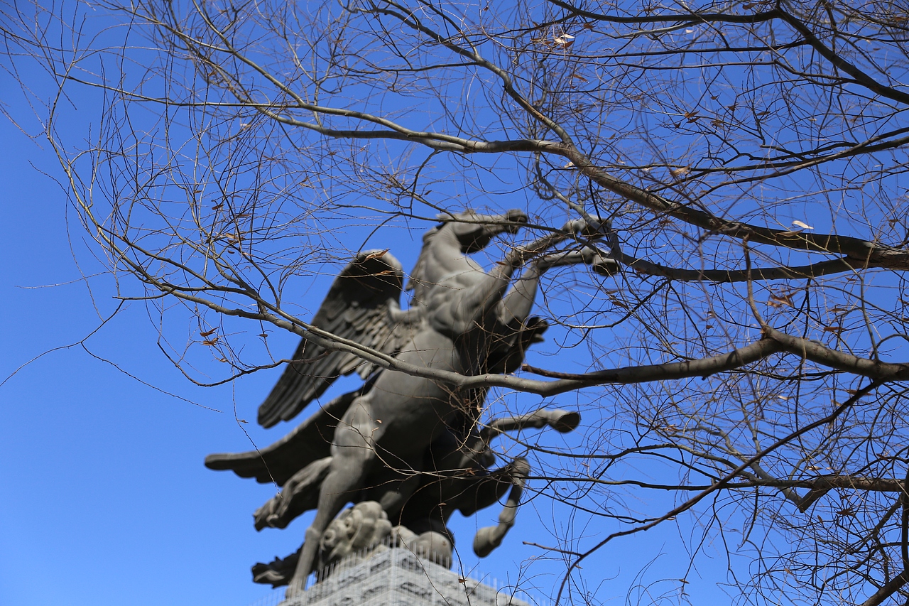 旅拍一座城，今天拍到的是——天津宝坻（图ZMzYyOTQ1ODYw） - 风光摄影 - 站酷设计师Shirley_1205原创素材 - 站酷ZCOOL