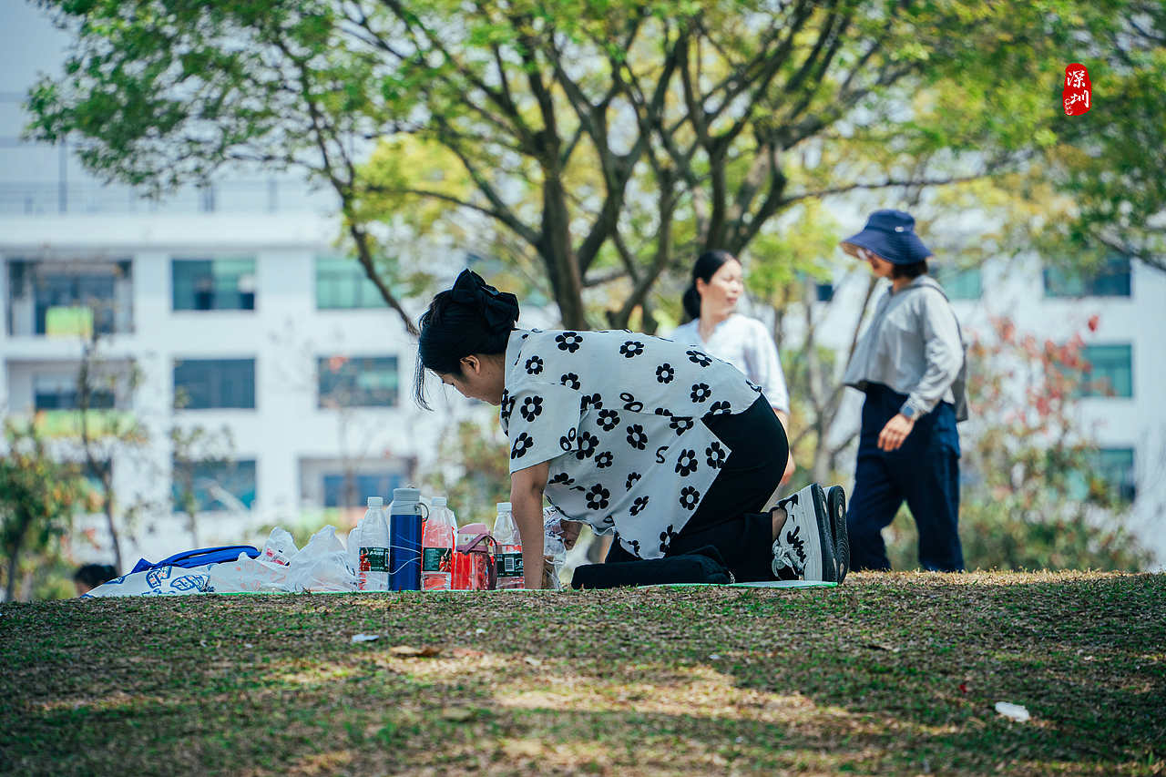 旅行摄影·深圳行(风光篇)
