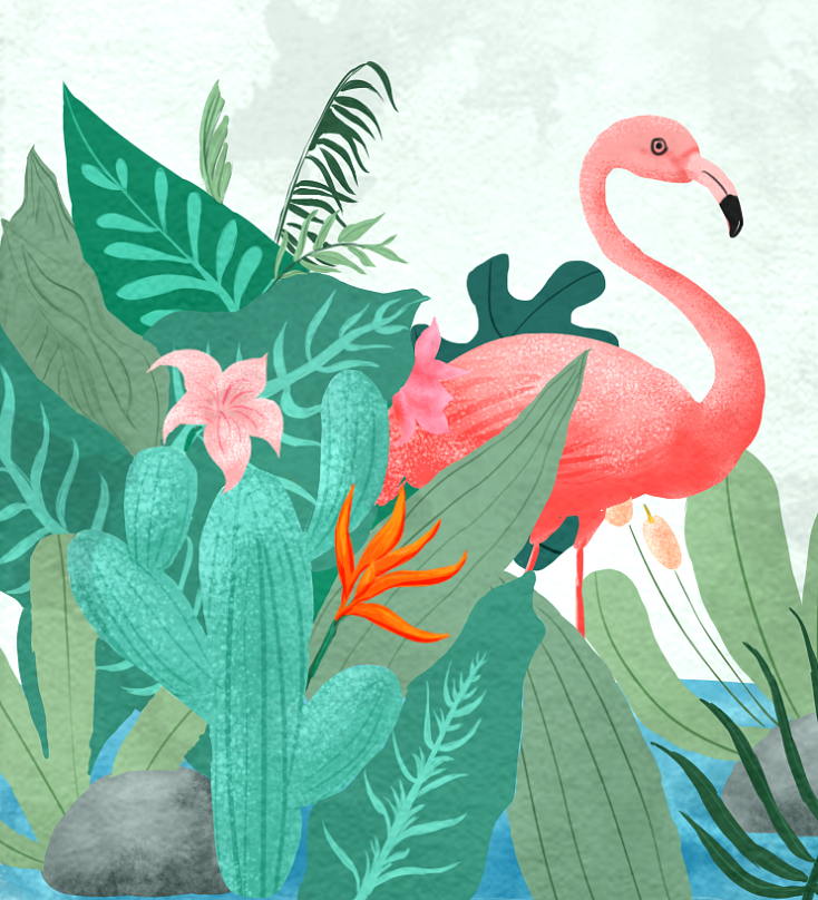 抽纸软包装设计插画