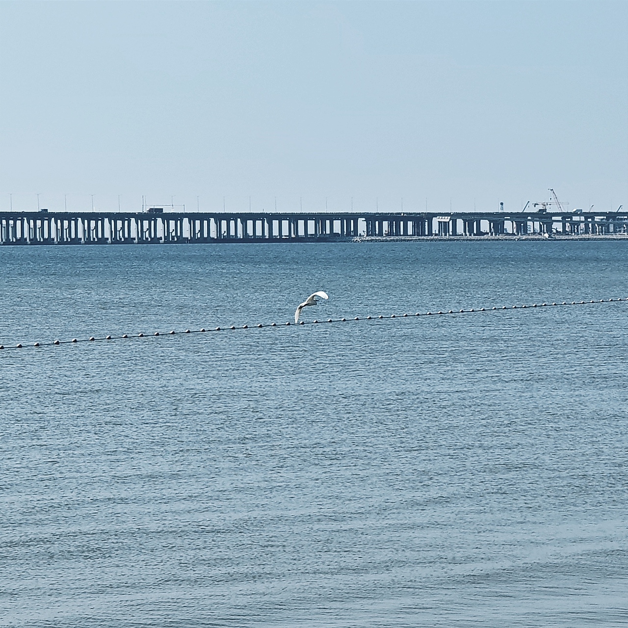 关于一些个人摄影练习（图ZMzMxNDExMDY0） - 风光摄影 - 站酷设计师阿鑫仔啦原创素材 - 站酷ZCOOL