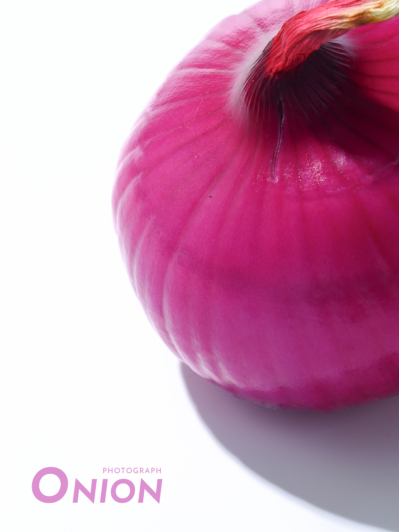 创意摄影|洋葱梦游仙境