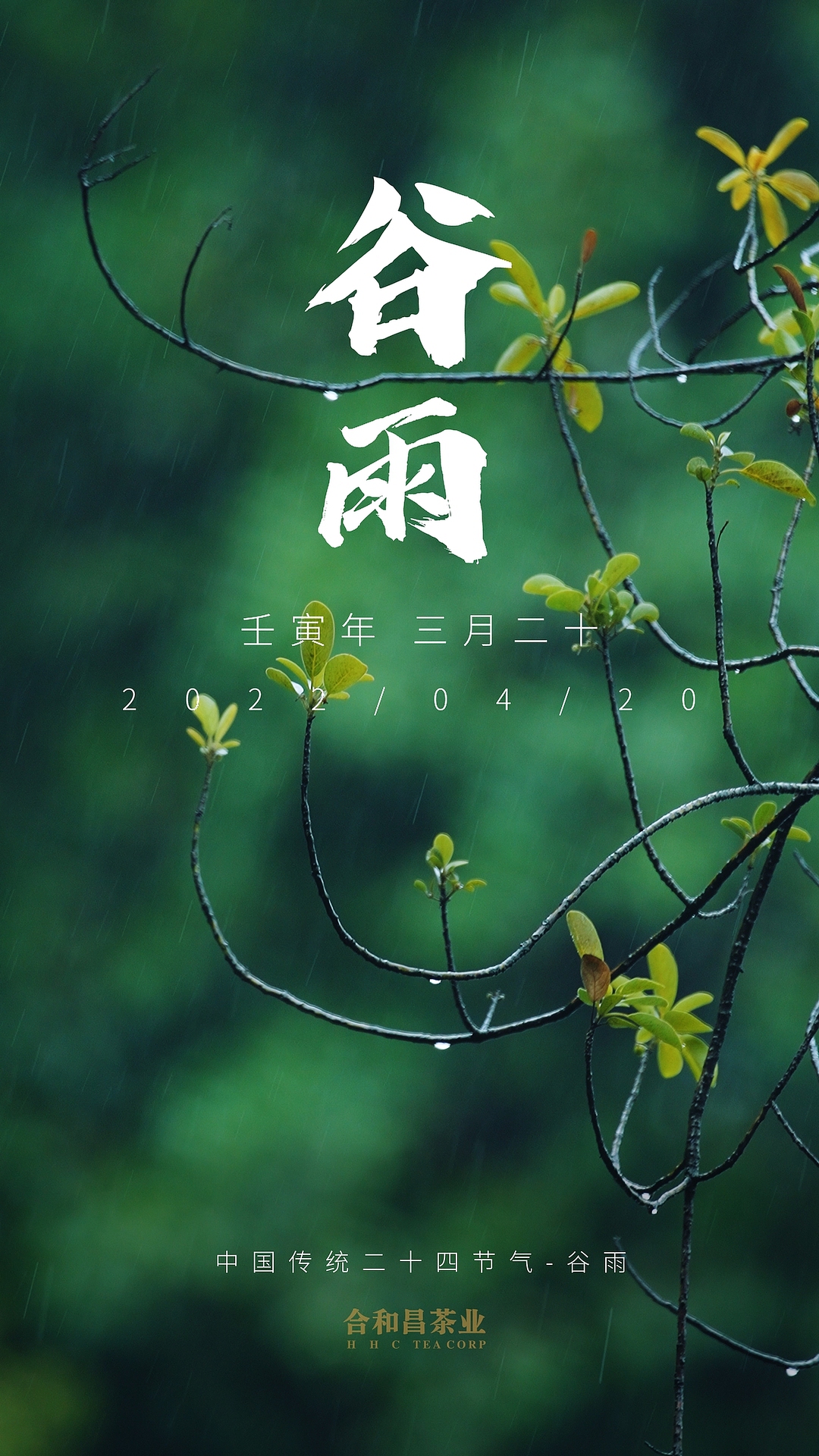 谷雨｜二十四节气-人在茶途（图ZMzAxOTg4MTky） - 短片 - 站酷设计师摄影师大桂原创素材 - 站酷ZCOOL
