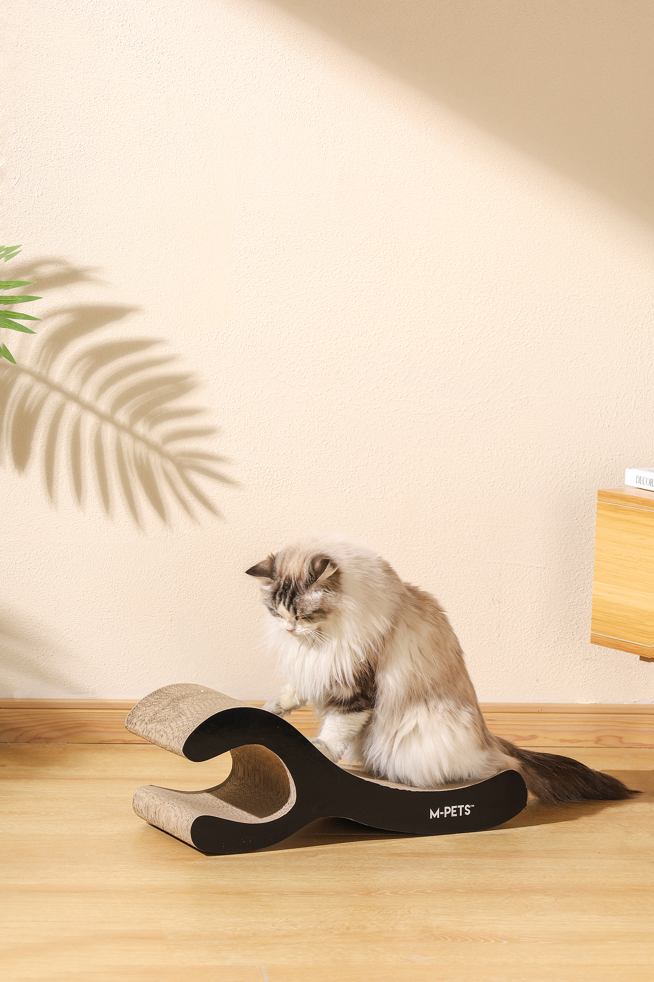 宠物用品拍摄（图ZMzMyNDE5ODQ4） - 产品摄影 - 站酷设计师何为心安原创素材 - 站酷ZCOOL