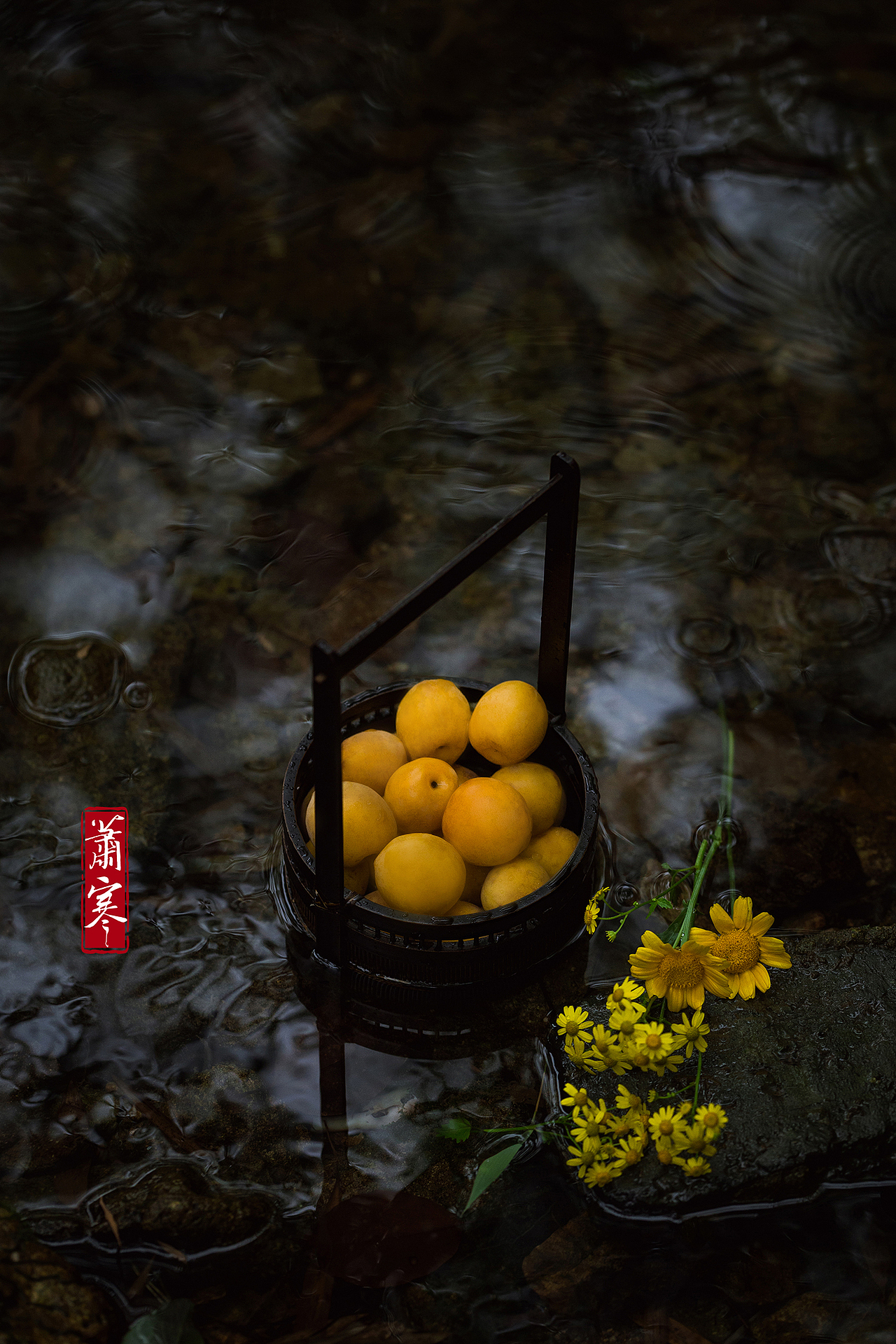 闲野 | 初夏轻黄小小花