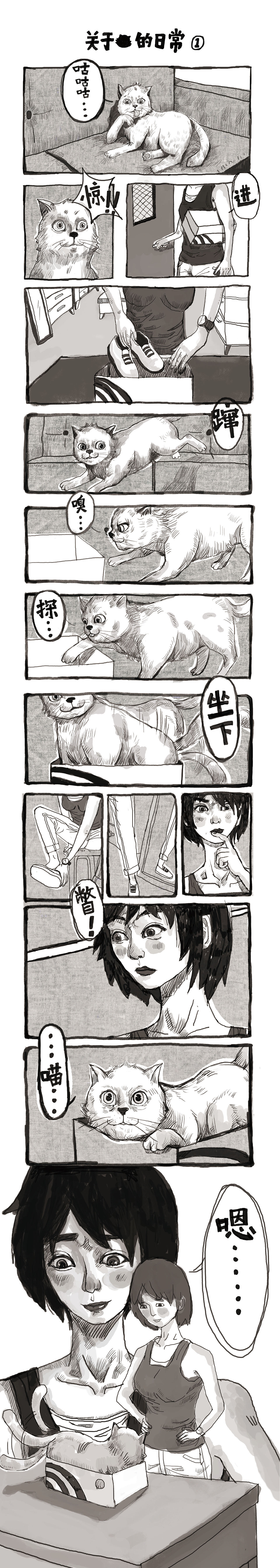 猫米日常