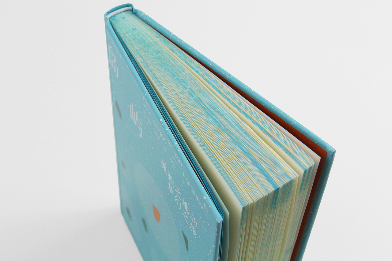 书籍设计-《岛屿|孤独之地的梦幻之旅》