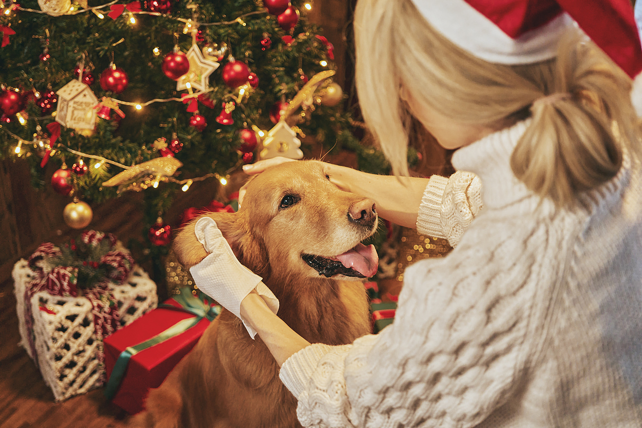 商业拍摄-宠物护理产品圣诞节主题拍摄