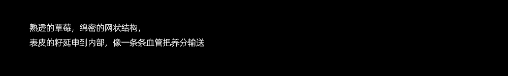 创意摄影|《那一瞬》肌理光影实验拍摄 第一期