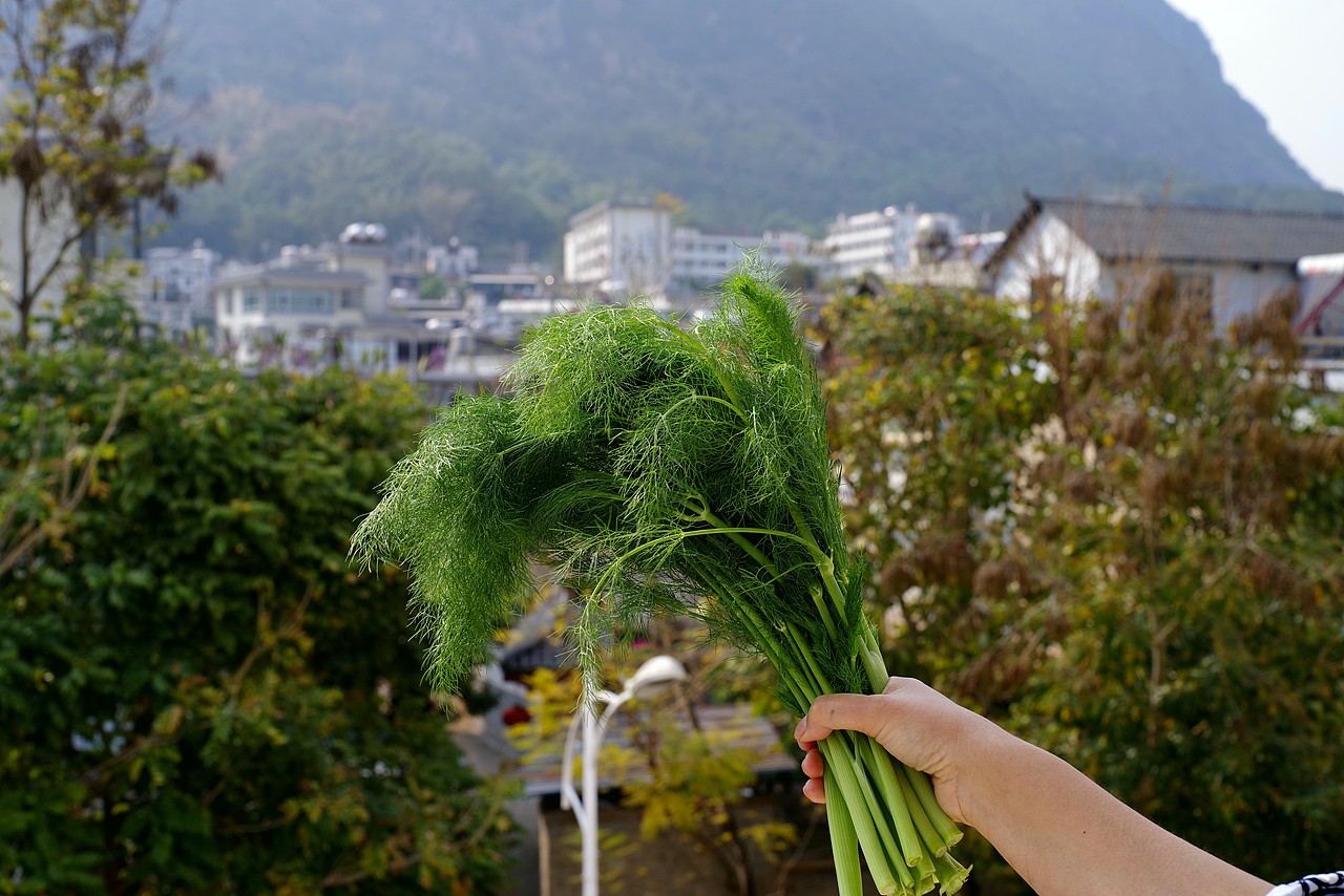 赶云南大集,看稀奇,食爆浆肥肠
