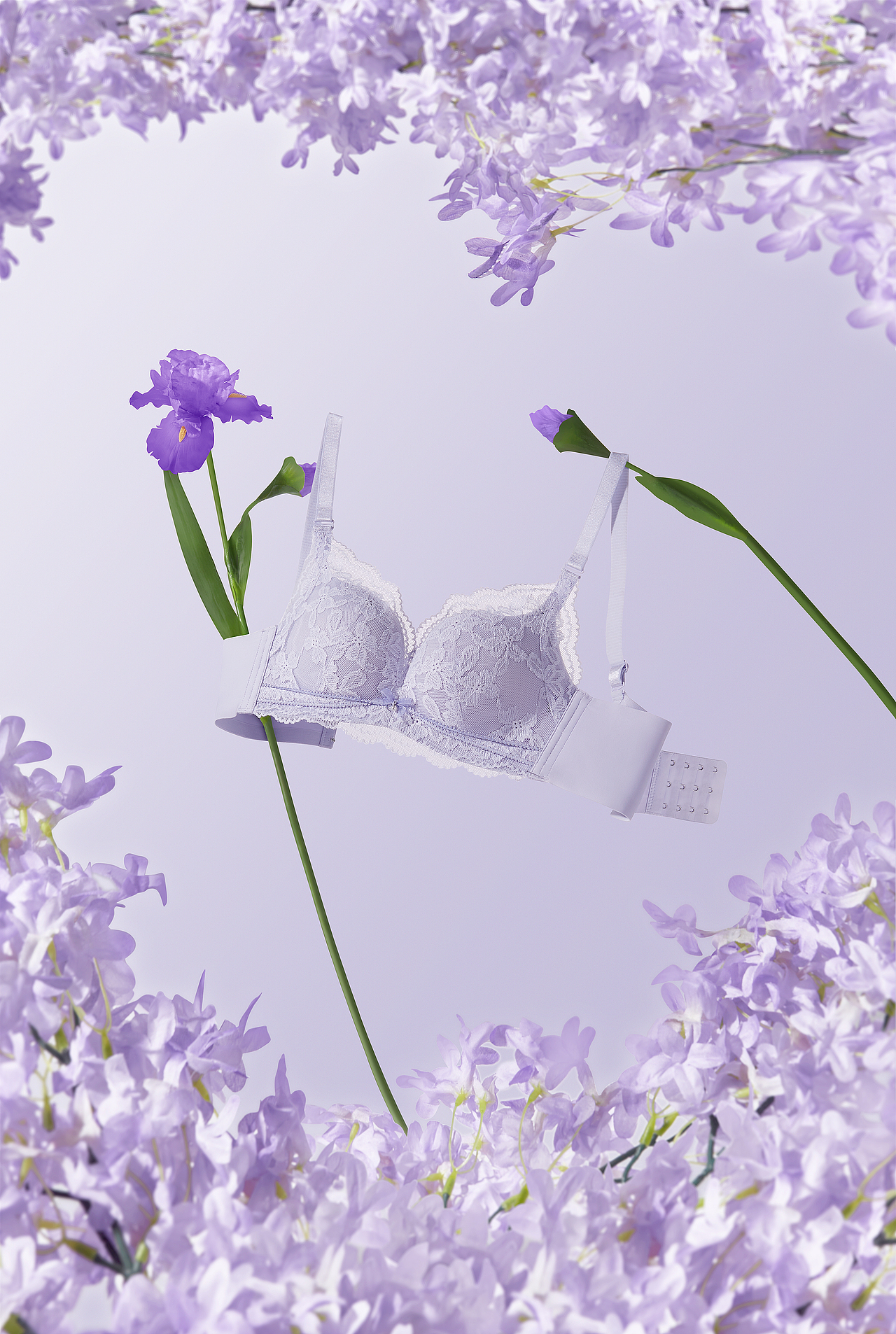 12月创意内衣挂拍