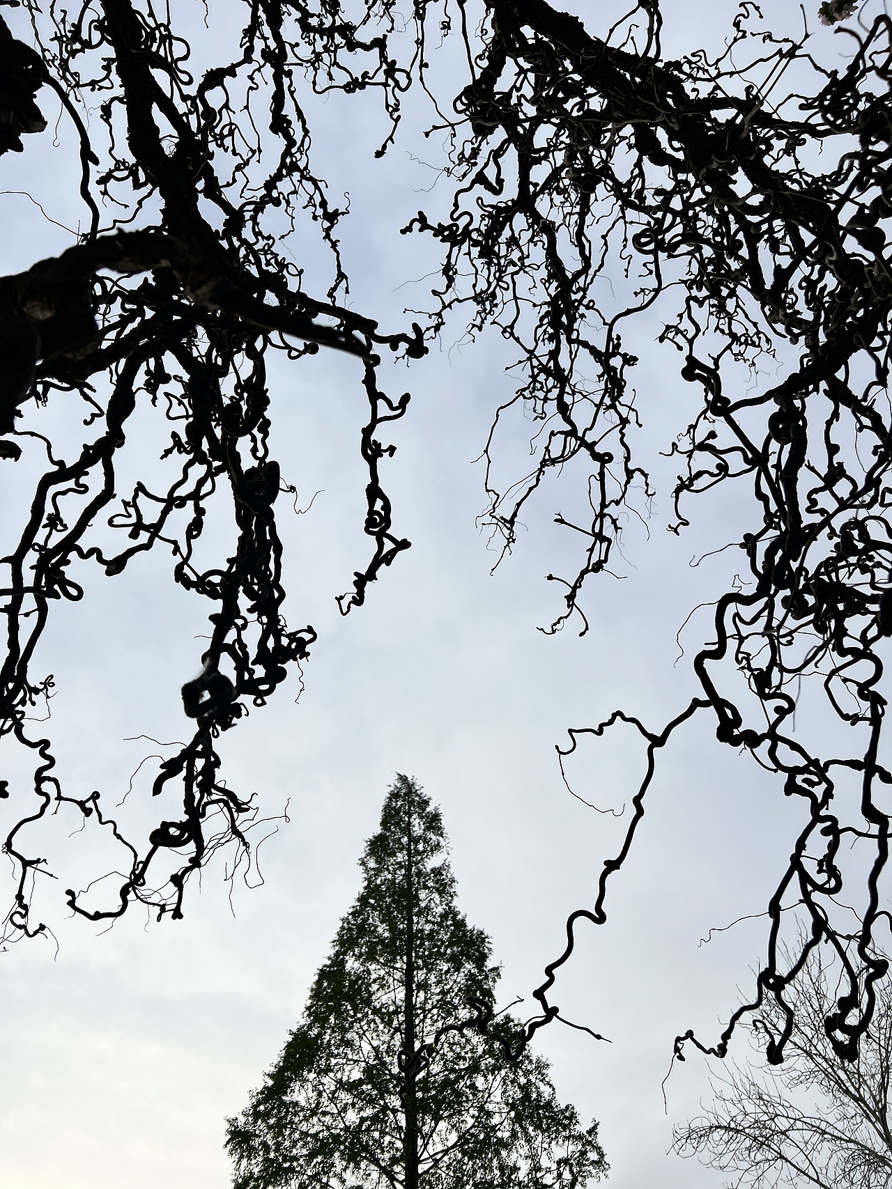 雕塑，隨拍。（圖ZMzUyOTU5ODUy） - 人文/紀實攝影 - 站酷設(shè)計師章魚灰原創(chuàng)素材 - 站酷ZCOOL