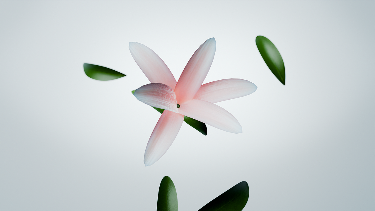 身体乳产品动画 —— 建模渲染