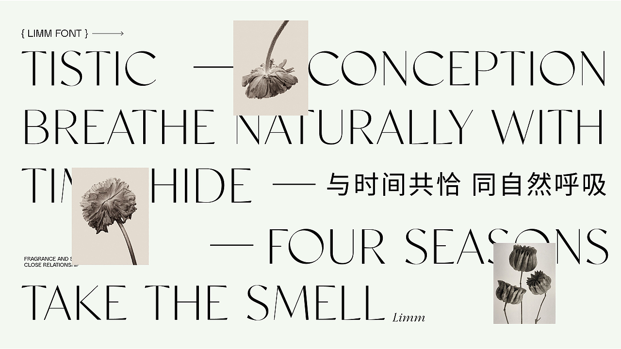 《荔木LIMM》品牌设计-身体与自然间的密码私语（图ZMzA0ODgwOTgw） - 品牌 - 站酷设计师你好大海品牌设计原创素材 - 站酷ZCOOL