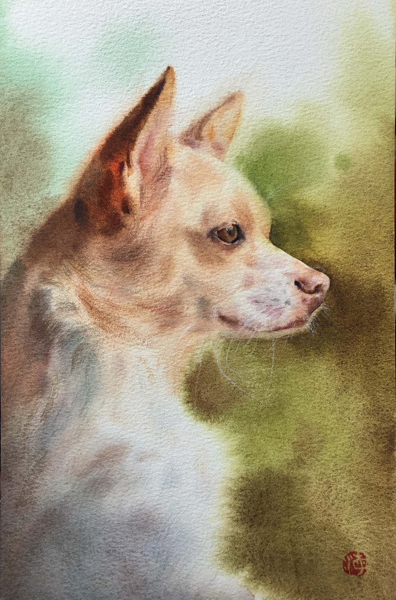 水彩汪星人侧面像