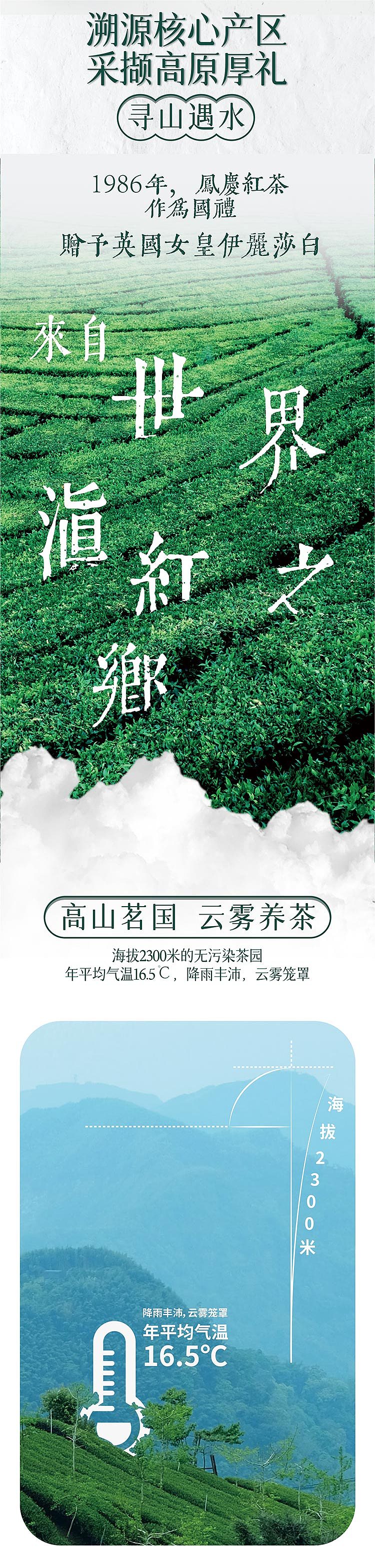 冷茗冷泡茶详情页