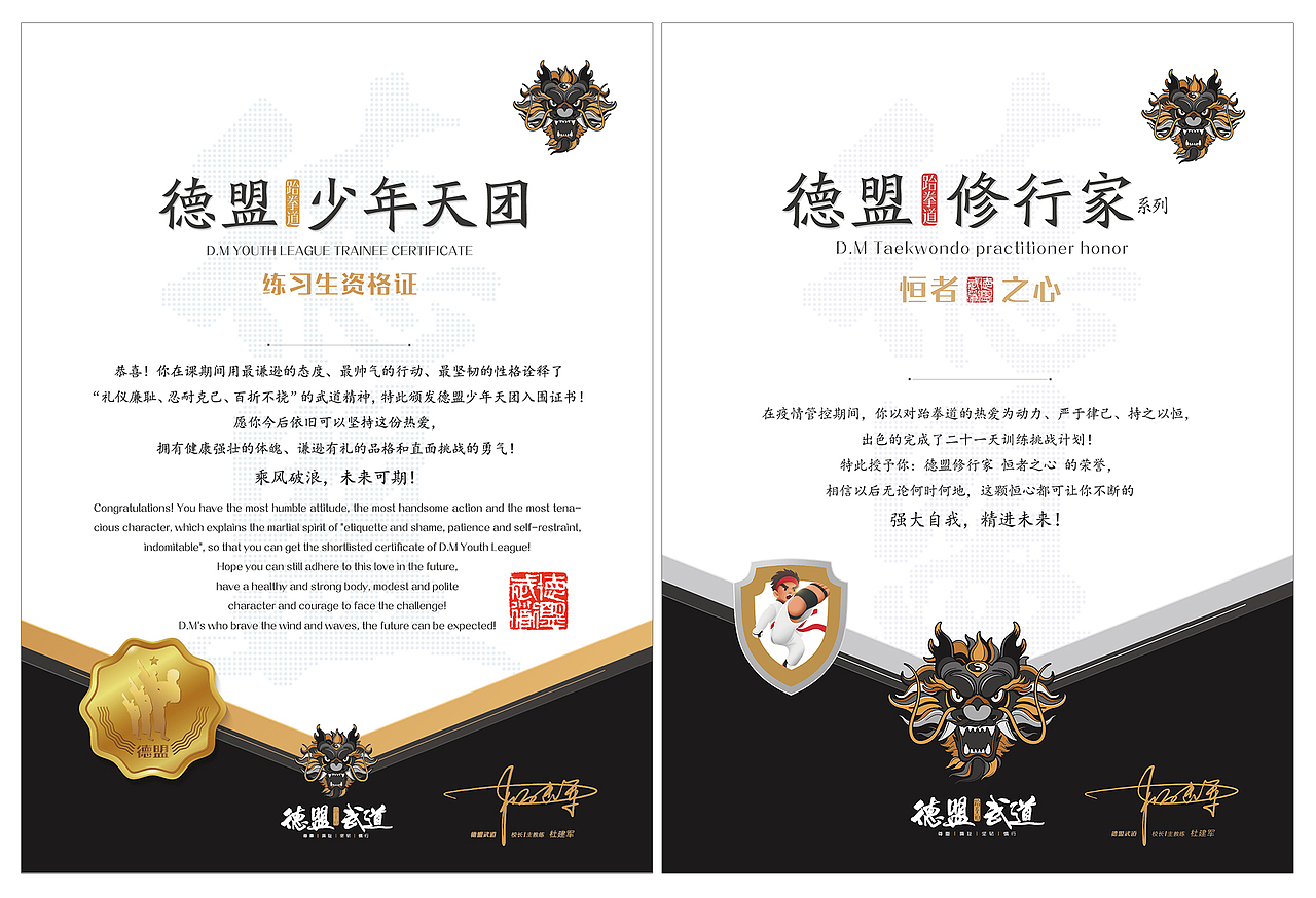 德盟武道品牌全案-视觉系统