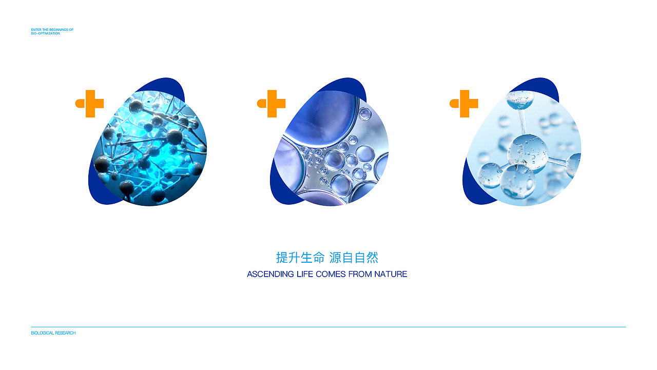拜昂生物 生物科技IP设计生物医药健康品牌（图ZMzEzODQyNjUy） - 品牌 - 站酷设计师Owen111原创素材 - 站酷ZCOOL