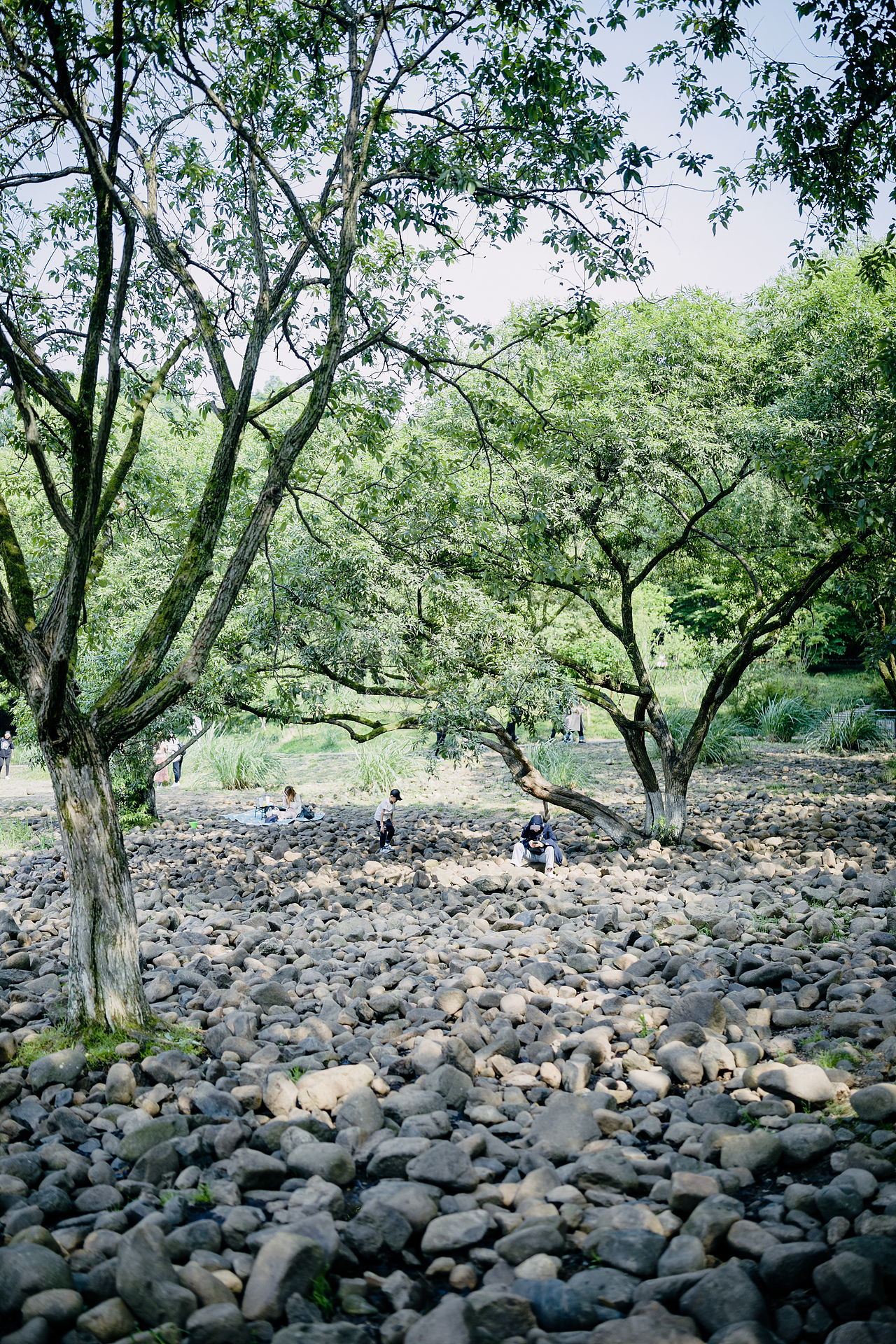我的五一如此开篇