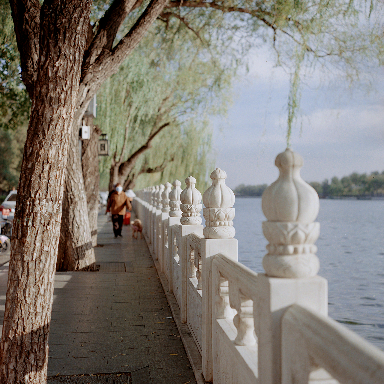 胶片旅行/北京/上海（图ZMzU1NTM3Nzk2） - 美食摄影 - 站酷设计师Aphysama原创素材 - 站酷ZCOOL