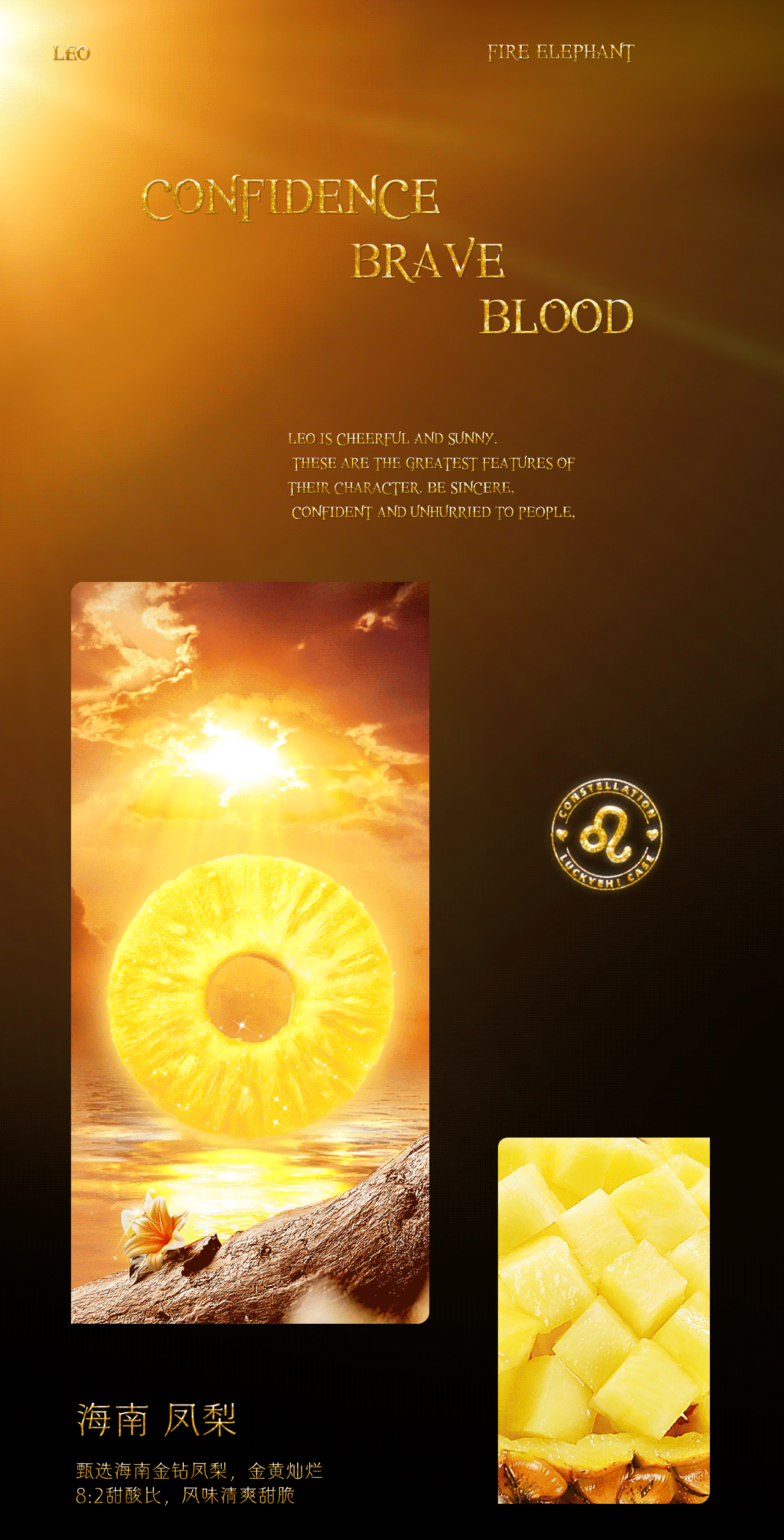 蛋糕摄影-视觉全案设计