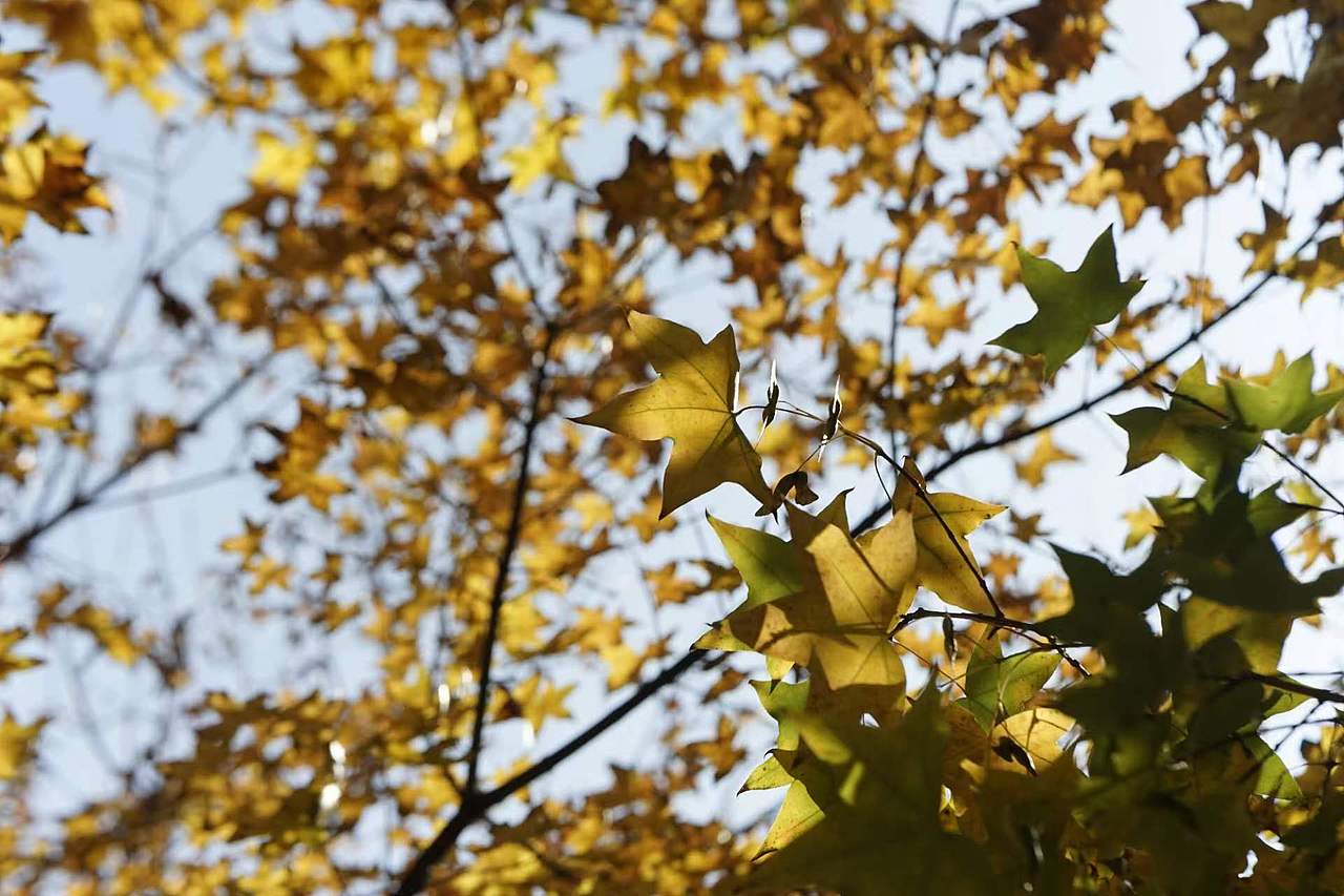 【穷玩摄影】第三期 A7M1 风光摄影作品分享