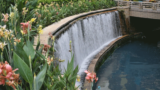 忙里偷闲,城市慢生活 | GIF动态摄影