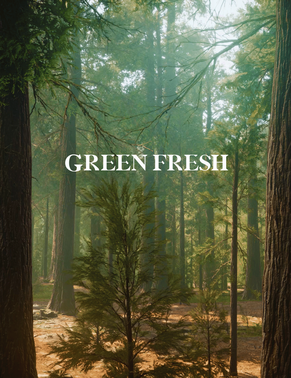 【方森园】端午时尚礼盒粽子包装设计——《绿野仙粽》（图ZMzM1ODcyNjcy） - 包装 - 站酷设计师方森园包装原创素材 - 站酷ZCOOL