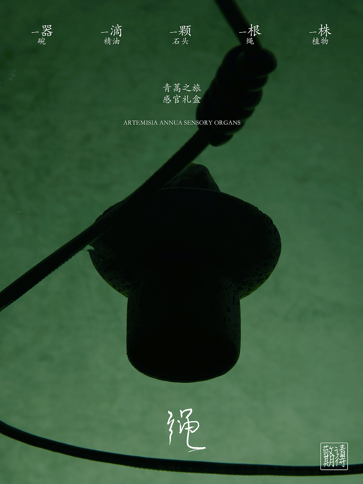 产品精修 | 安敏优青蒿礼盒套装