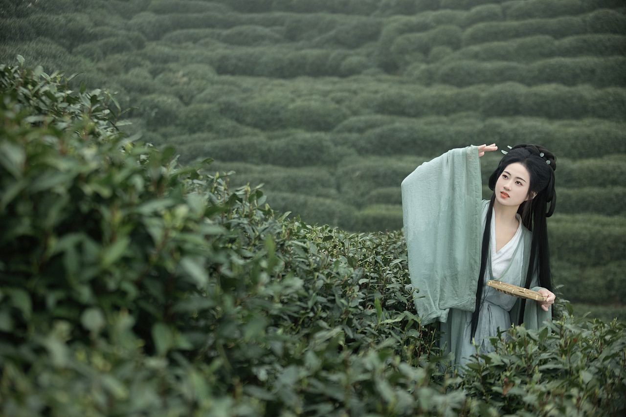 明前绿（图ZMzY5NTMzNjg4） - 人像摄影 - 站酷设计师若寒Rock原创素材 - 站酷ZCOOL