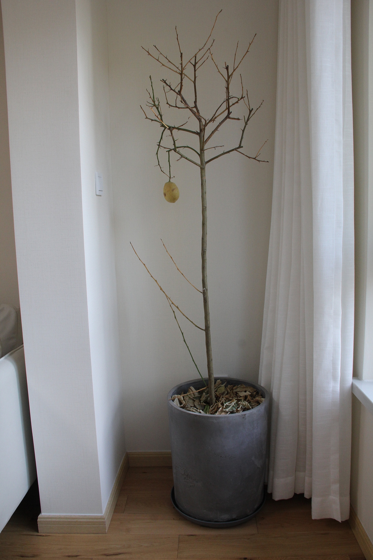 住宅（图ZMzU3Njk2MTUy） - 家装设计 - 站酷设计师最美莫过于朴素原创素材 - 站酷ZCOOL