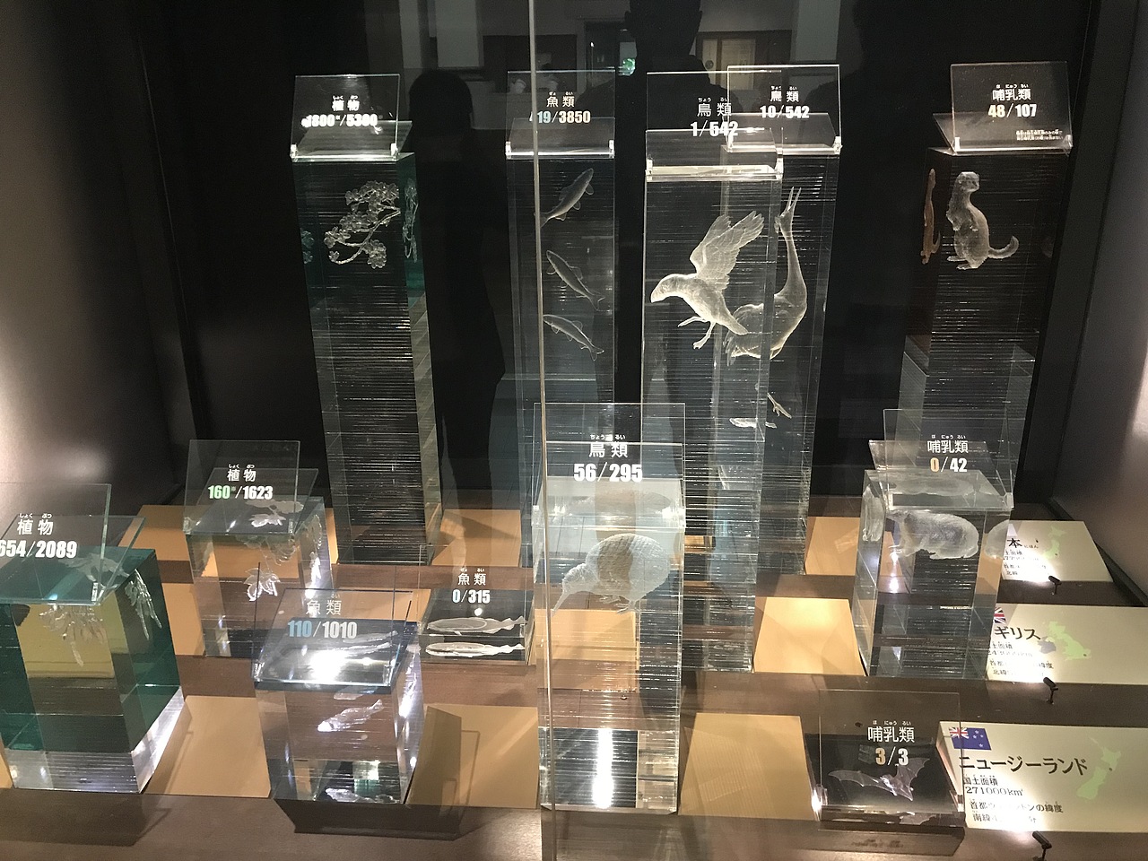 东京国立科学博物馆（图ZMzA5OTUxNDIw） - 展陈设计 - 站酷设计师JIANG2015原创素材 - 站酷ZCOOL