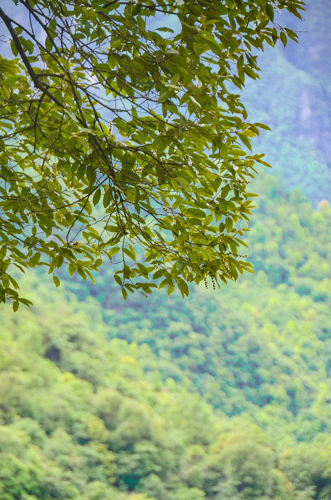 风光摄影学习（图ZMzU3MjEwMTk2） - 风光摄影 - 站酷设计师vipmlc97原创素材 - 站酷ZCOOL