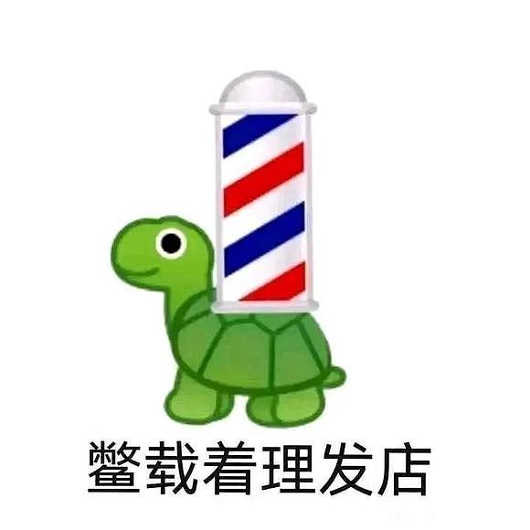 鸽踏马球里鳖载着理发店（图ZMzEwMzQyODQ4） - 网络表情 - 站酷设计师伍柒_原创素材 - 站酷ZCOOL