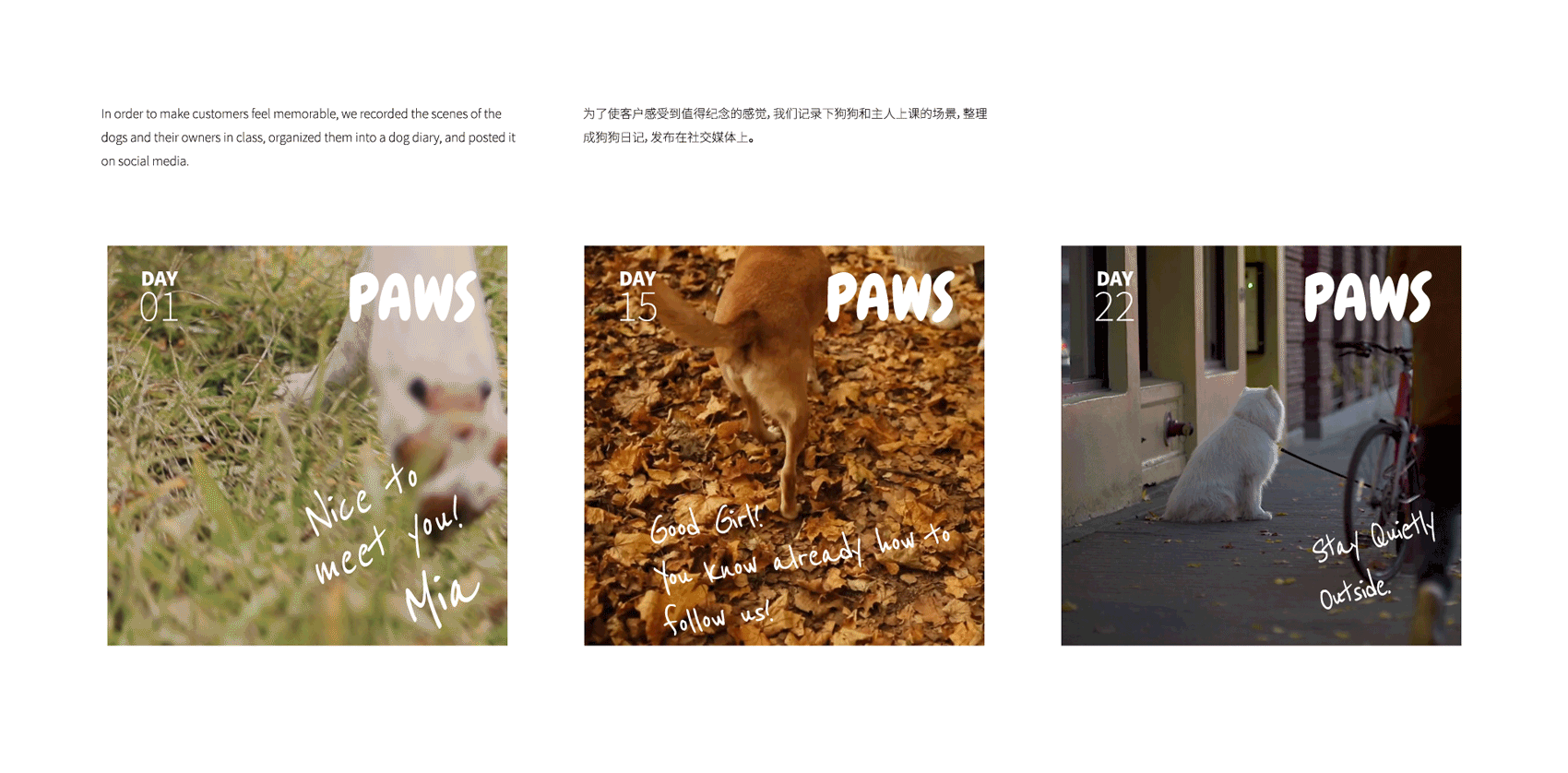 PAWS-柏林的狗狗训练工作室（图ZMzE3ODE2MTQ4） - 品牌 - 站酷设计师TATsong原创素材 - 站酷ZCOOL
