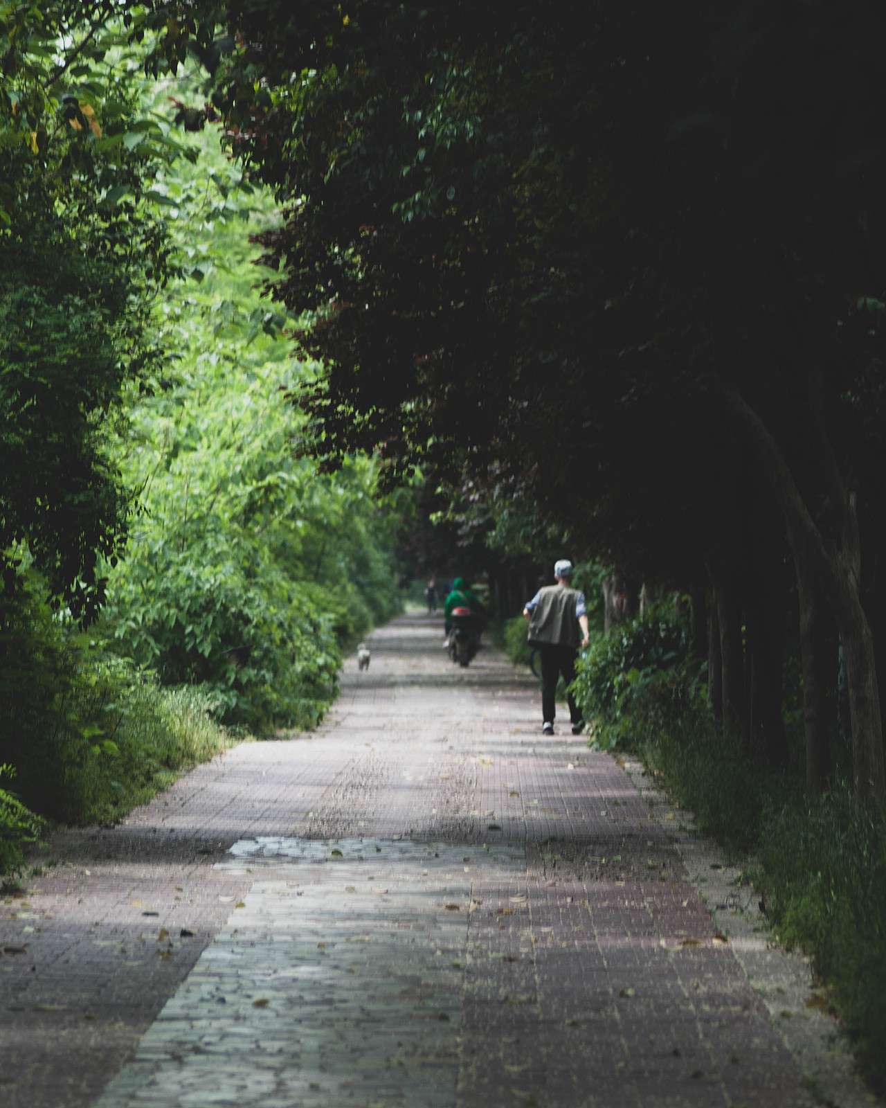 平平无奇一个自学摄影小白的爱好捏