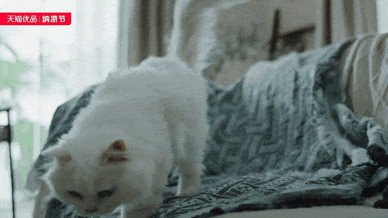 天猫优品x美的 纳凉节大促TVC—让夏天“家电”多巴胺（图ZMzQ5OTA5OTQ0） - 宣传片 - 站酷设计师盘马弯弓PMWG原创素材 - 站酷ZCOOL