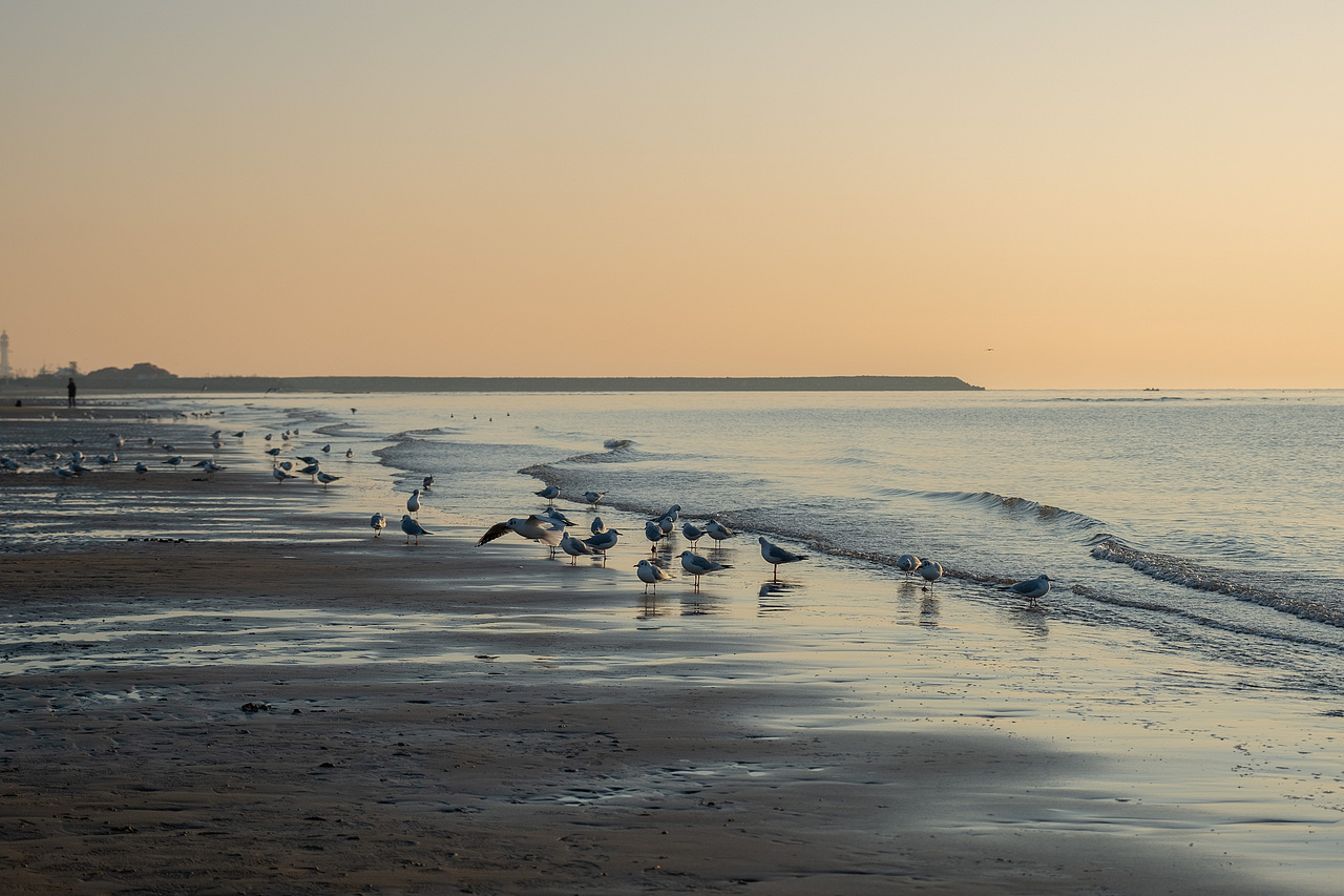 晨曦初露，夕阳西下，我们一直在追寻自己内心的光芒（图ZMzMzOTg2MTY4） - 人像摄影 - 站酷设计师修图师张欢原创素材 - 站酷ZCOOL