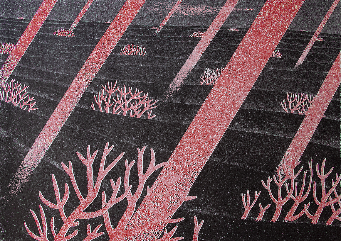 ta 一直往前游
在这寂寥的海里<br><br>