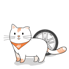【表情包】韩泰猫表情包设计-2021