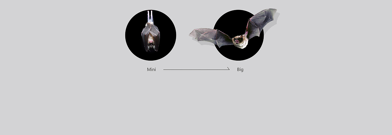 哈士奇设计作品-W-Bat（图ZMzEyMzYyMDYw） - 交通工具 - 站酷设计师广州哈士奇设计原创素材 - 站酷ZCOOL