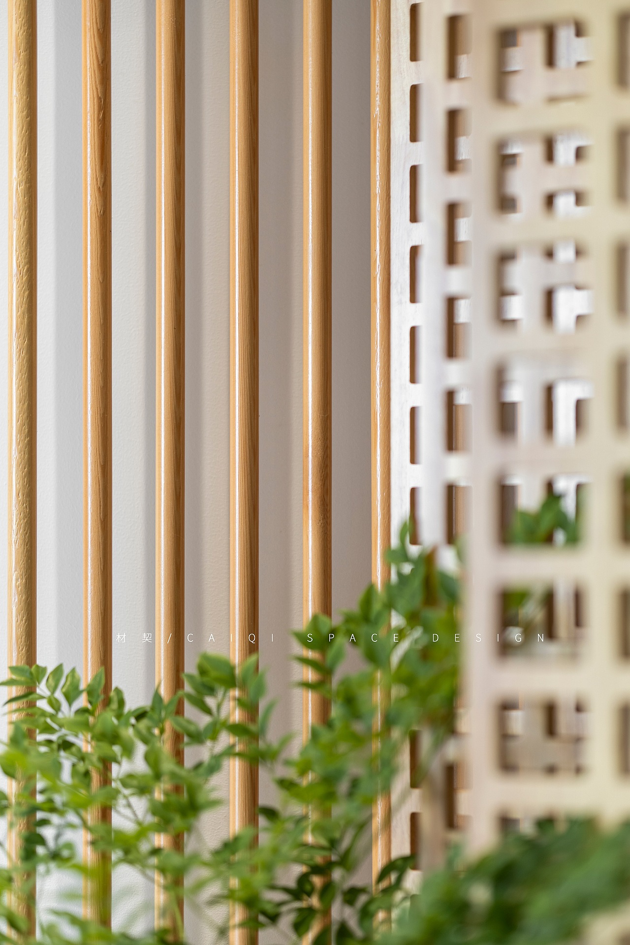 枫影丨材契作品