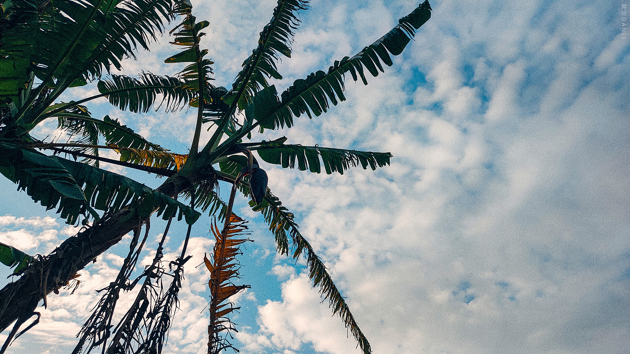 Hometown sky系列 | 摄影 | 乡间之空