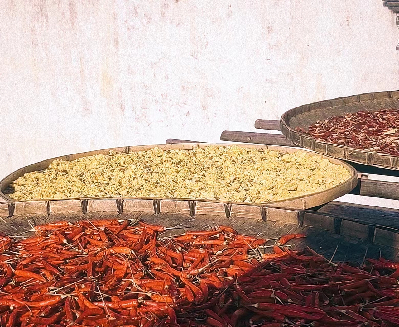 婺源|行在江南烟雨里,淋了一身诗意