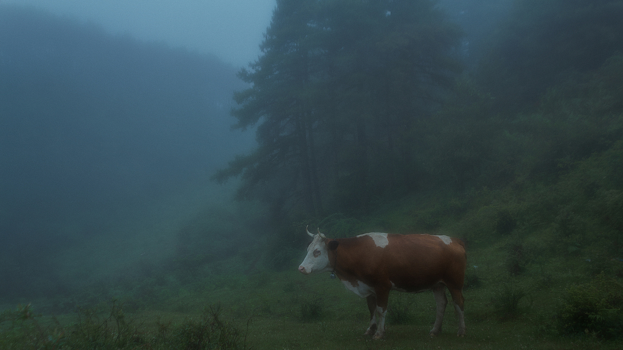2022~5月~烟雨梁王山（图ZMzAyMjgyMTE2） - 风光摄影 - 站酷设计师nayinian原创素材 - 站酷ZCOOL