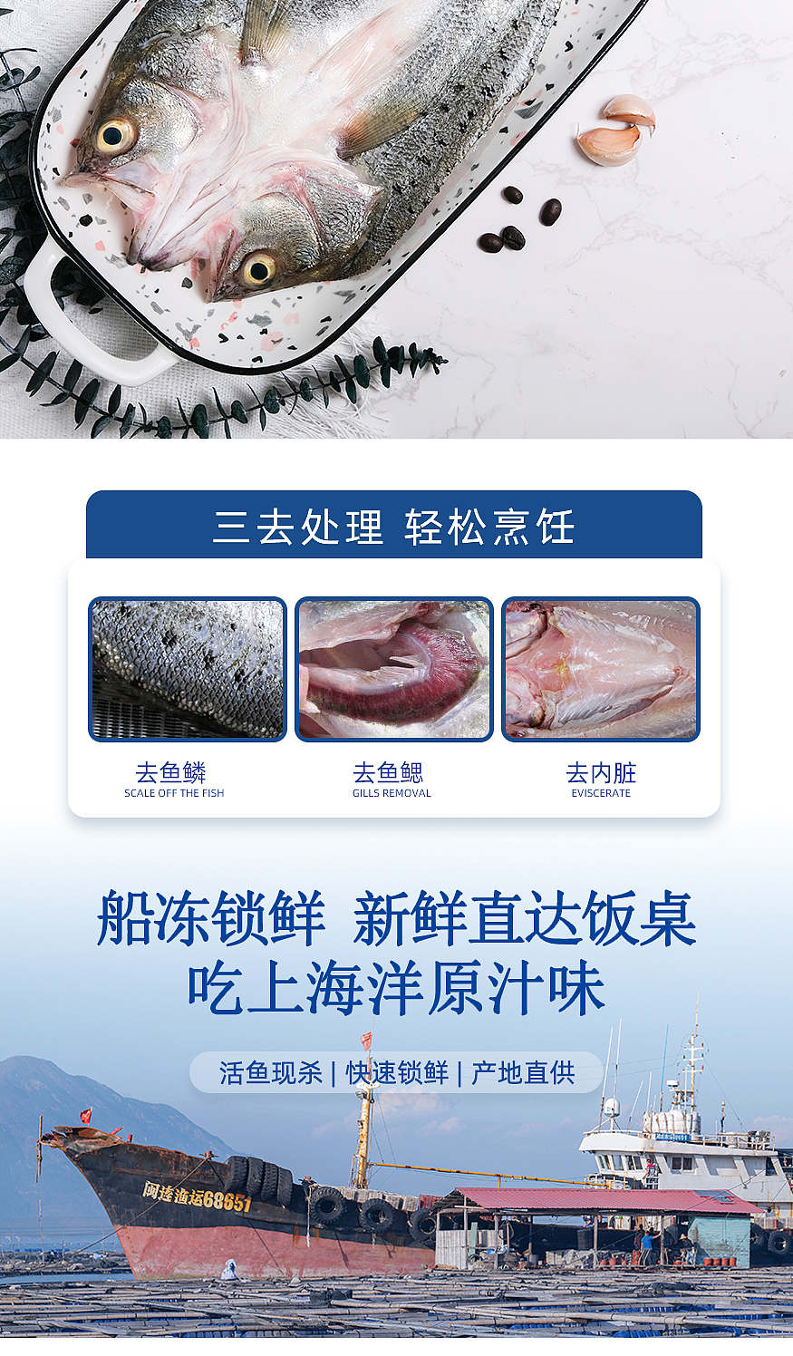 鲈鱼详情1.0（图ZMzU4NzM1NDU2） - 电商 - 站酷设计师Maymay阿原创素材 - 站酷ZCOOL