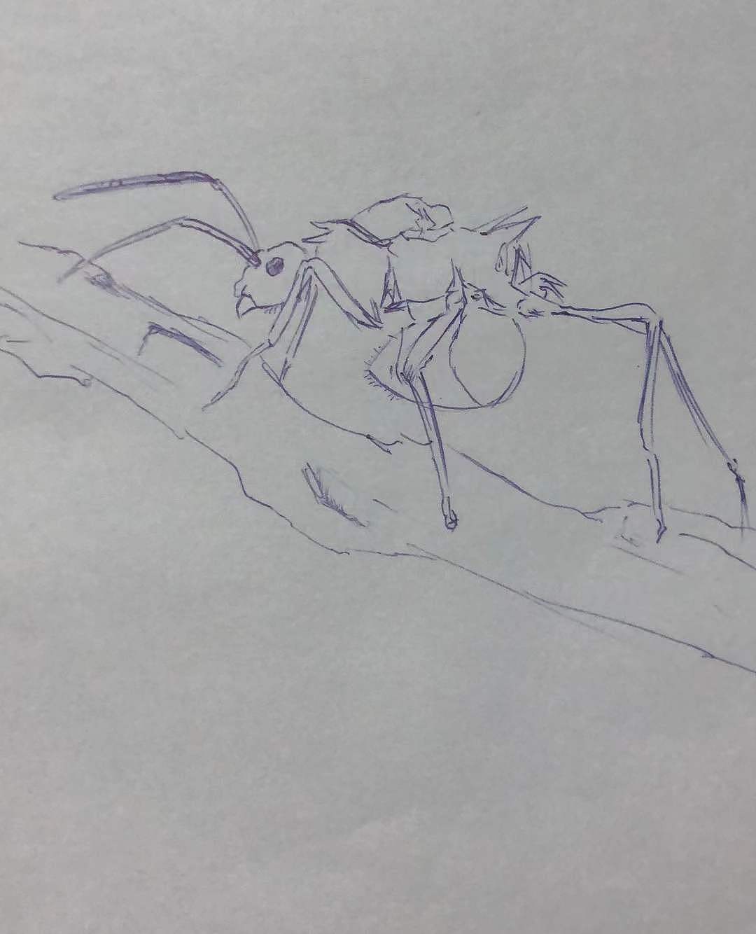 手绘速写打卡25（图ZMzI1Njc2OTA0） - 创作习作 - 站酷设计师老林学画画原创素材 - 站酷ZCOOL