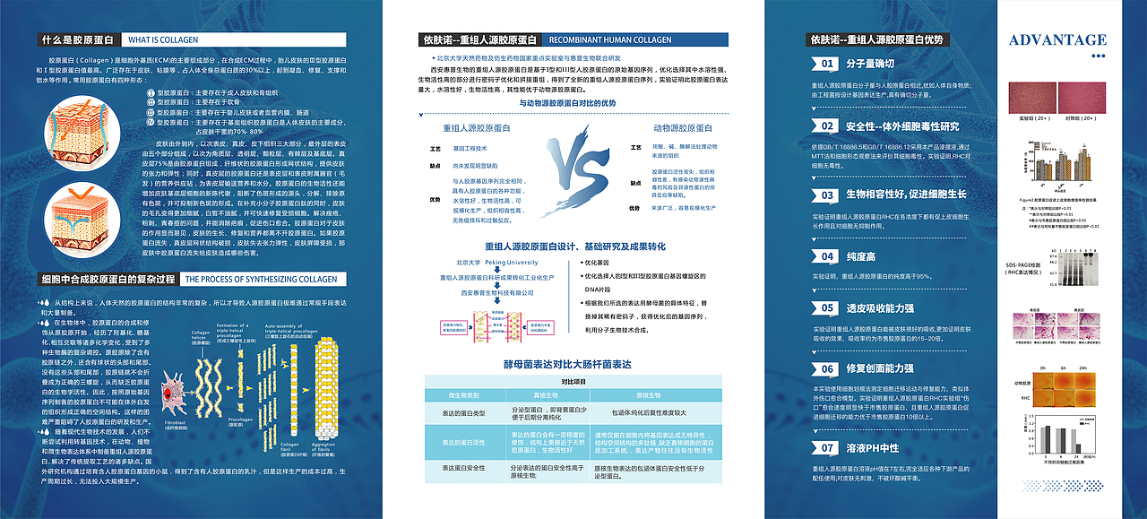 三折页  单页设计  产品画册